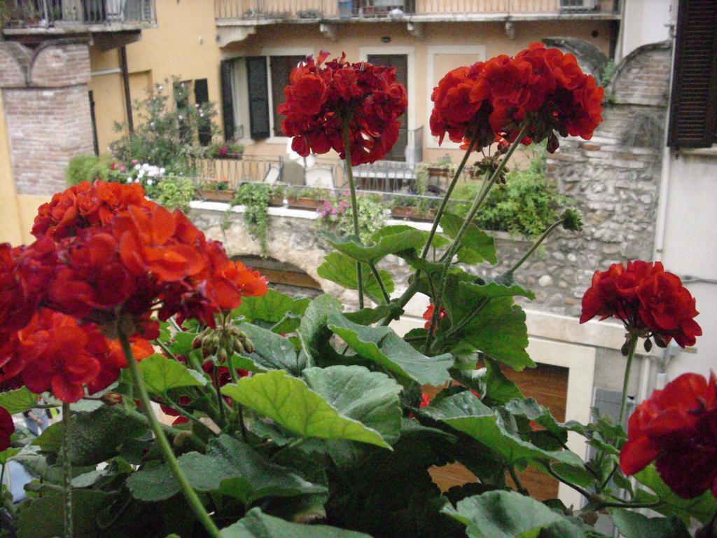 A Casa Di Luca Hotel Verona Kültér fotó