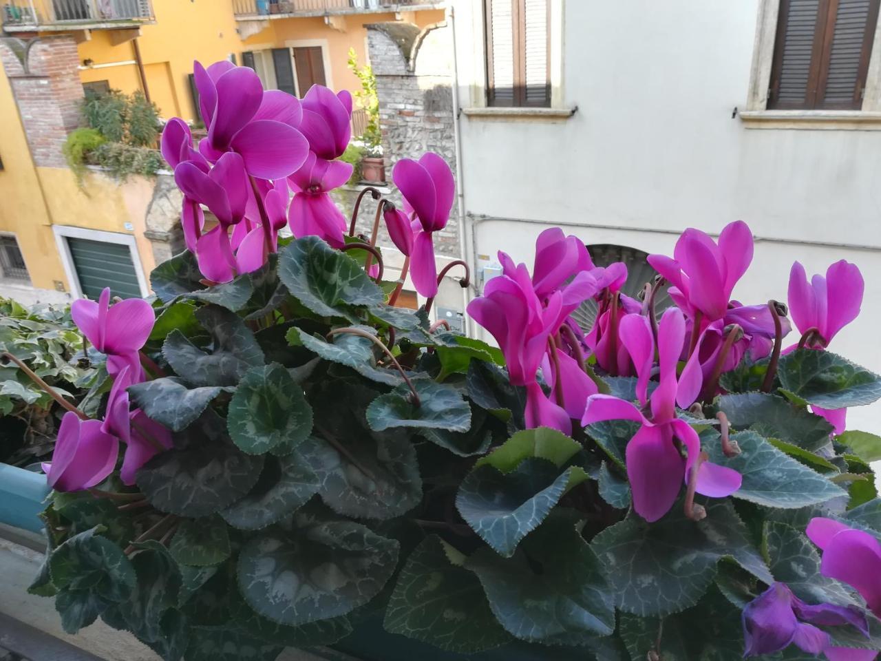 A Casa Di Luca Hotel Verona Kültér fotó